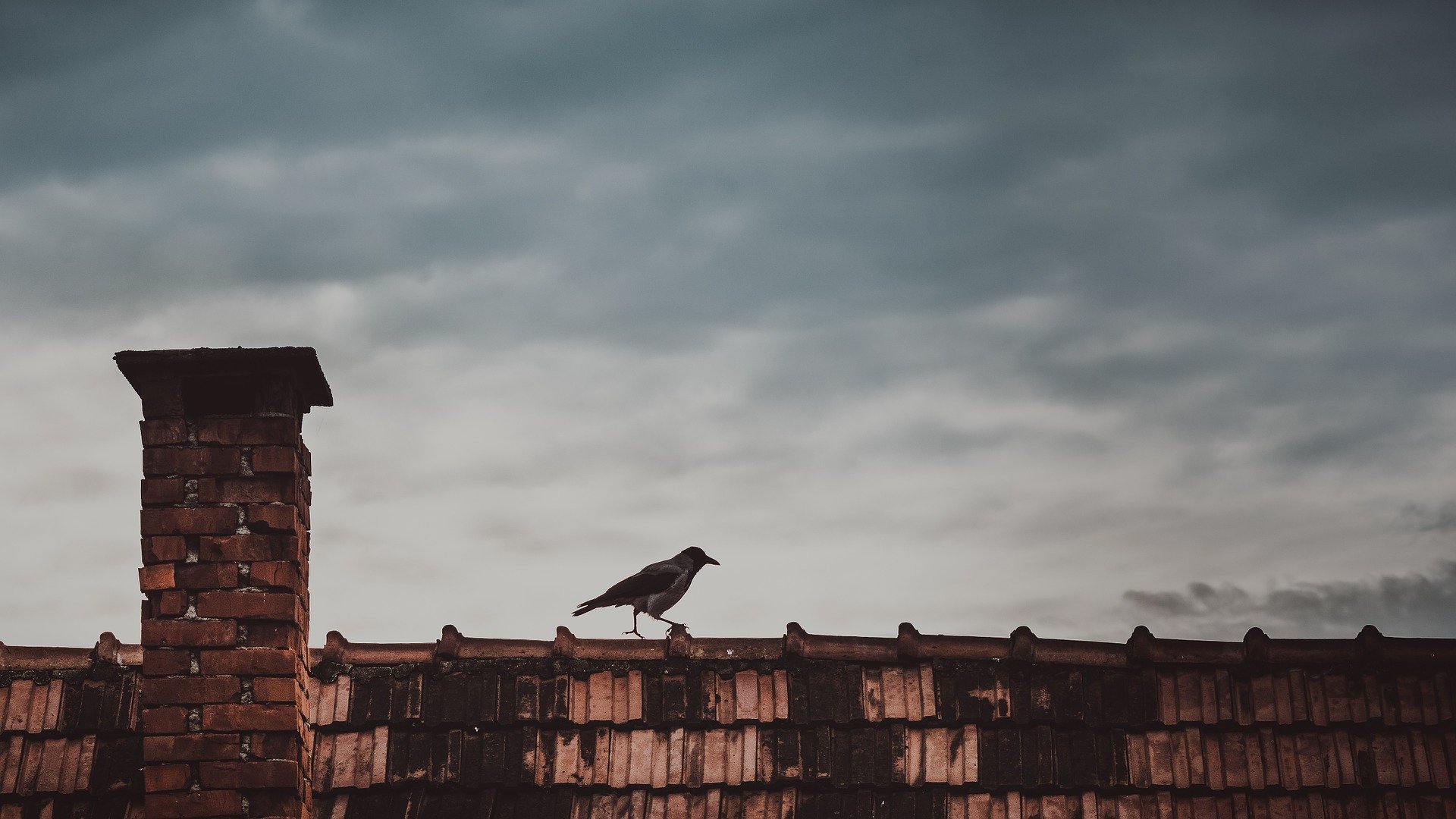 Chimney Sweep Asheville