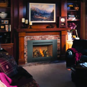 Asheville, NC Fireplace Store 107199 | Clean Sweep The Fireplace Shop