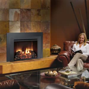 Asheville, NC Fireplace Store 108006 | Clean Sweep The Fireplace Shop