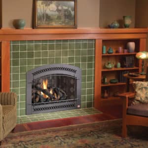 Asheville, NC Fireplace Store f 864gs 6 | Clean Sweep The Fireplace Shop